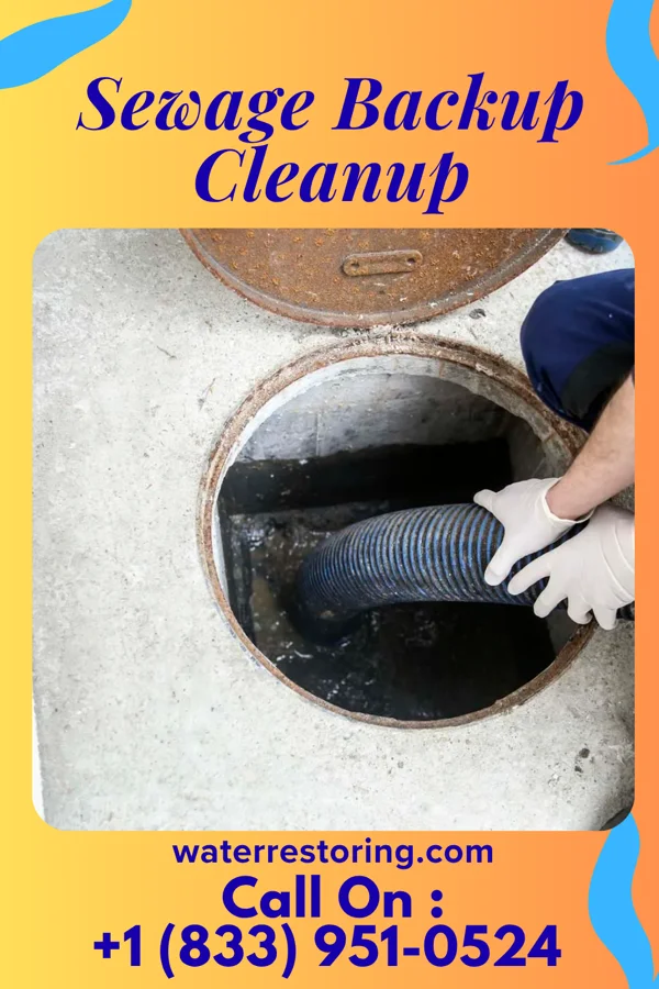 Sewage Backup Cleanup in Hugo, OK